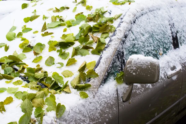 Πράσινο φύλλο και το πρώτο χιόνι στα αυτοκίνητα — Φωτογραφία Αρχείου