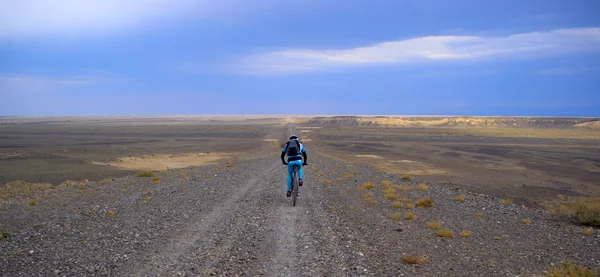 Mountain biker on old desert road — Stock Photo, Image