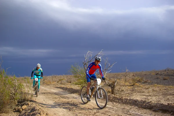 Mountain biker racing on old road in desert — Stock Photo, Image