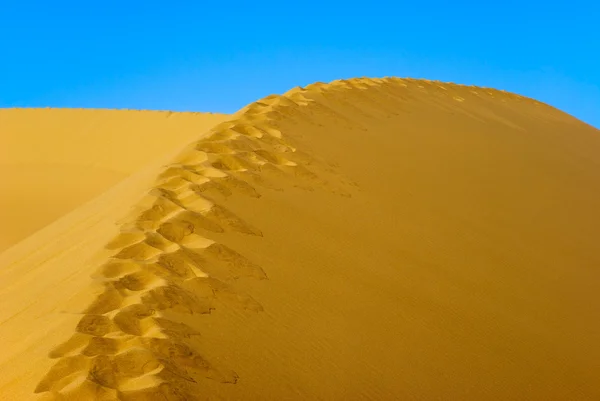 Sentier d'empreinte sur la dune de sable — Photo