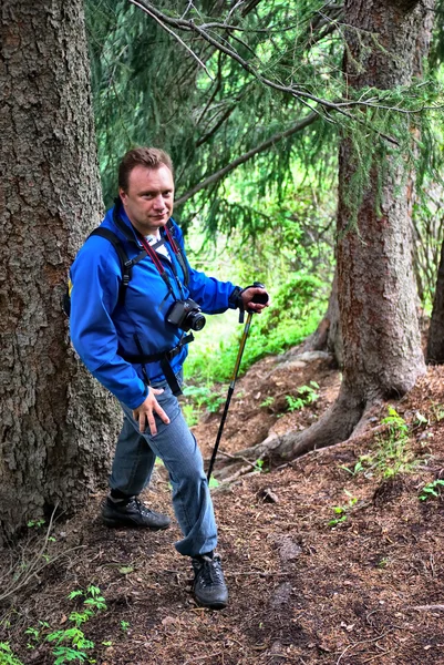 Backpacker άνθρωπος σε πευκόφυτο δάσος — Φωτογραφία Αρχείου