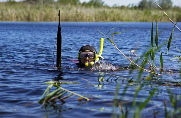 Underwater diver in lake — Stock Photo, Image