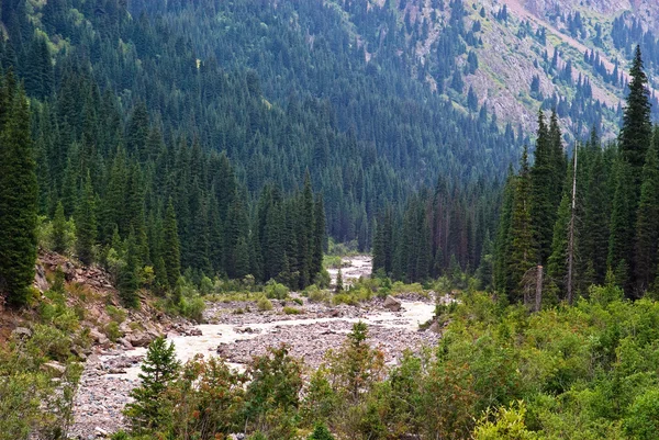 Wild mountain terrain — Stock Photo, Image