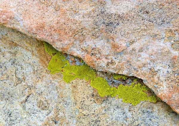 岩石背景上的绿色扁平 — 图库照片