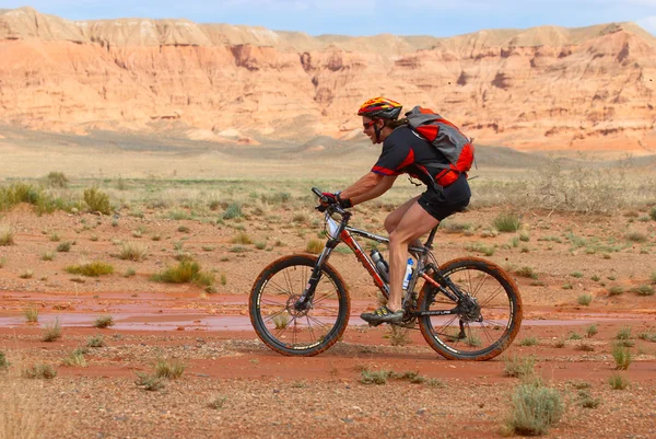 Mountain biker racing in desert canyon — Stockfoto