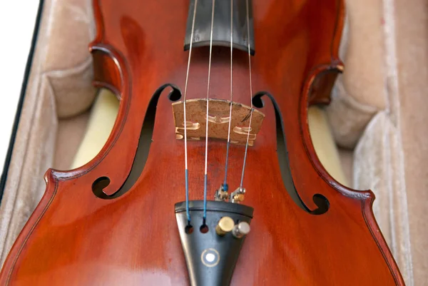 Violino em caso de close-up — Fotografia de Stock