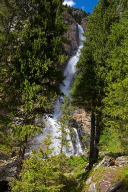 Waterfall in mountain forest clipart