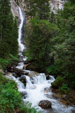 Waterfall in mountain forest clipart