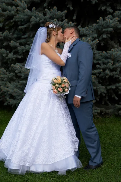 Beso de boda — Foto de Stock
