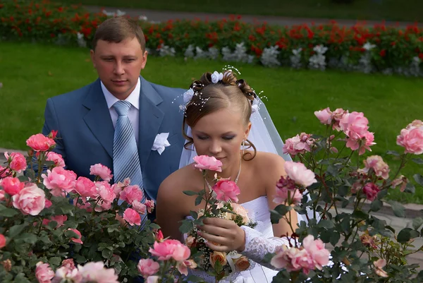 Bruden nosar rose men och brudgummen ser ut på det — Stockfoto