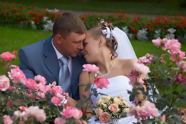 Brudgummen och bruden i gränden av rosor — Stockfoto