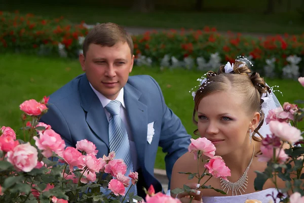 Νύφη sniffs τριαντάφυλλο αλλά και ο γαμπρός φαίνεται σε αυτό — Φωτογραφία Αρχείου