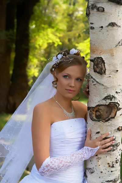 Szőke menyasszony és nyír — Stock Fotó