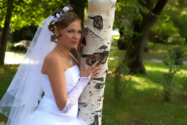 花嫁金髪とバーチ — ストック写真