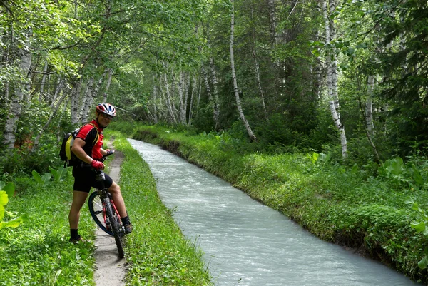 Mountainbiker, kleiner Fluss und Birkenwald — Stockfoto
