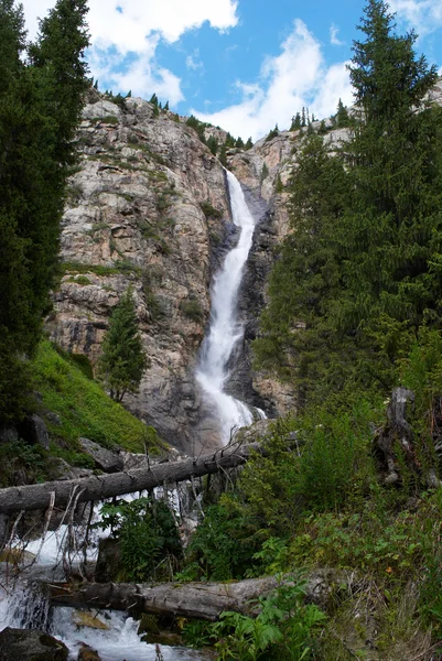 高山森林中的瀑布 — 图库照片