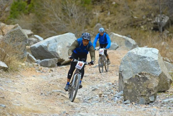 Çöl de eski kırsal yol iki bisikletçileri yokuş aşağı — Stok fotoğraf