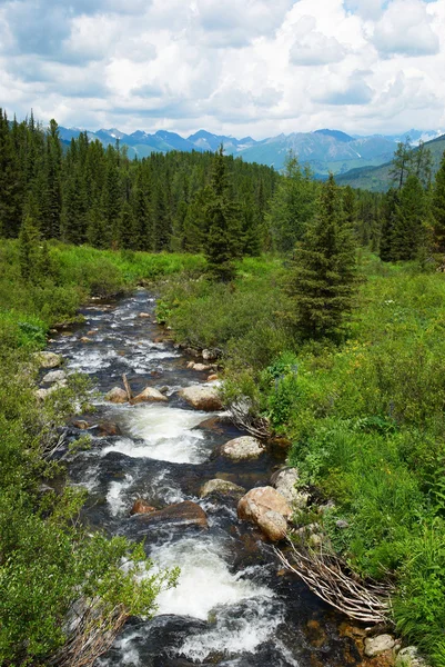 Гірська річка і ліс — стокове фото