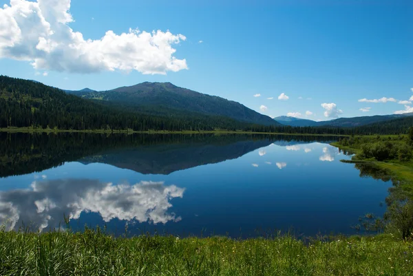 Reflexión en el lago — Foto de Stock