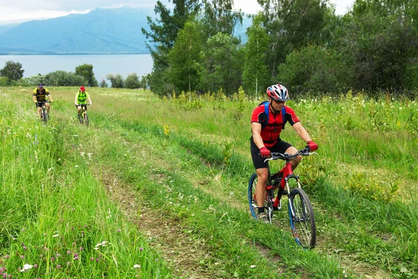 Велогонщики на сельской дороге — стоковое фото