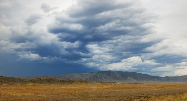 Storm in de woestijn — Stockfoto