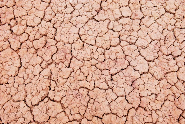 Textura da superfície seca — Fotografia de Stock