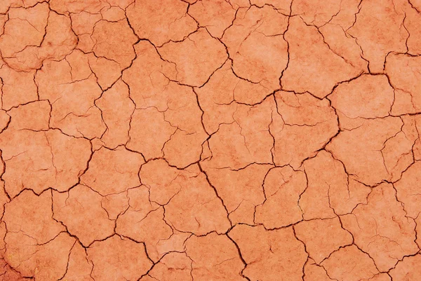 赤い乾燥した表面質感 — ストック写真