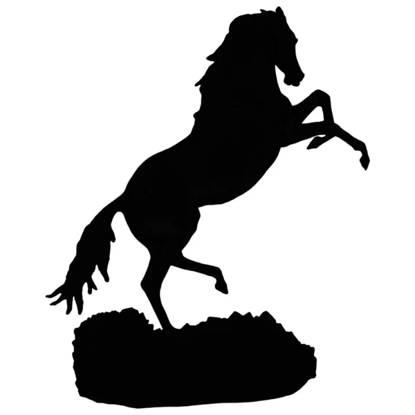 Кінь силует — стокове фото