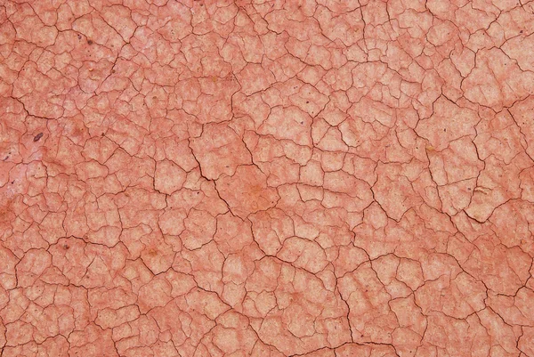 Pink dry surface texture — Stock Photo, Image