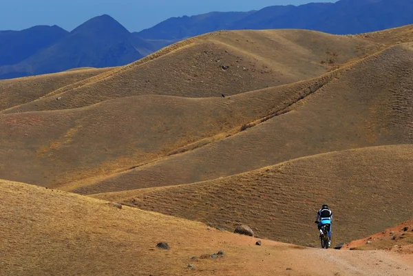 Mountainbiker in woestijn berg — Stockfoto