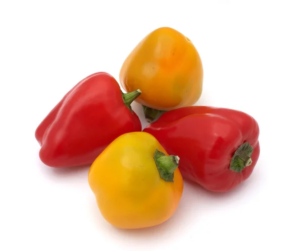 Vier kleine paprika — Stockfoto