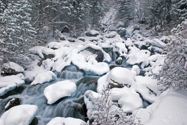 Vintern mountain creek under snöfall — Stockfoto