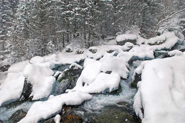 Winter mountain creek cascades during snowfall — Stock Photo, Image