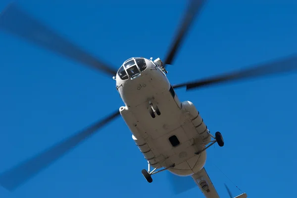Mucha duży helikopter — Zdjęcie stockowe
