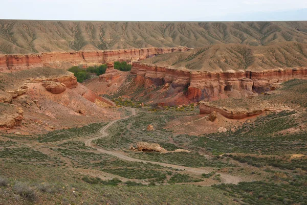 Canyon Temirlik, Kasachstan — Stockfoto