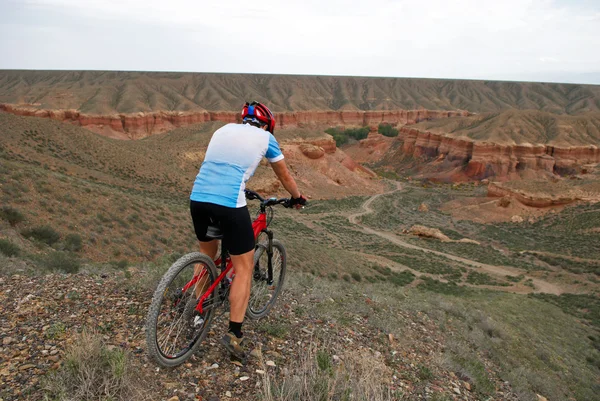 Ciclista de montaña cuesta abajo a Canyon — Foto de Stock