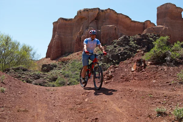 Mountainbiker in canyon — Stockfoto