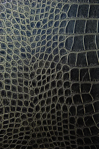 Yılan derisi arkaplanı — Stok fotoğraf