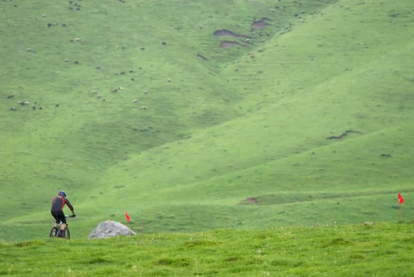 Гірський велосипедист на гонці — стокове фото