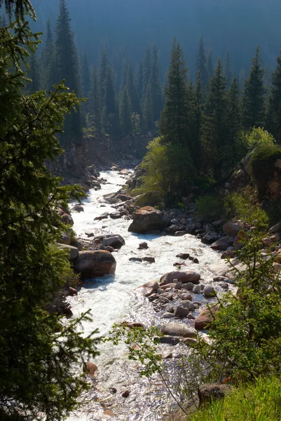 Mountain River — Stock fotografie