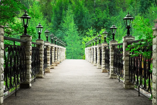 Kładka dla pieszych w parku — Zdjęcie stockowe