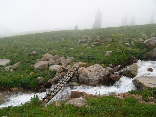 Puente de pie de madera mágica en la niebla —  Fotos de Stock