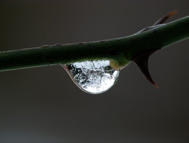 Bubbles in frozen water drop clipart