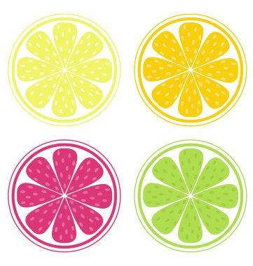 Citrus fruit slices isolated on white clipart