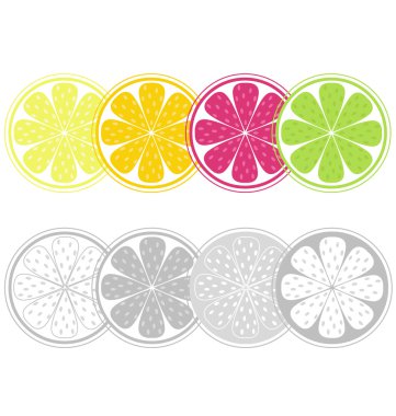 Citrus fruit slices in retro style clipart