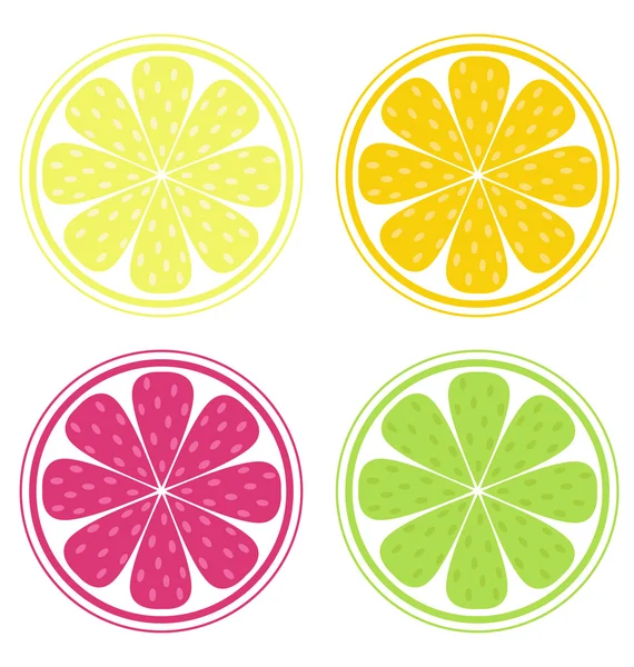 Citrusfrukter skivor isolerad på vit — Stock vektor