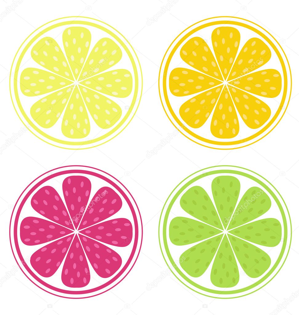 Citrus fruit slices isolated on white Stock Vector Image by ©BEEANDGLOW ...