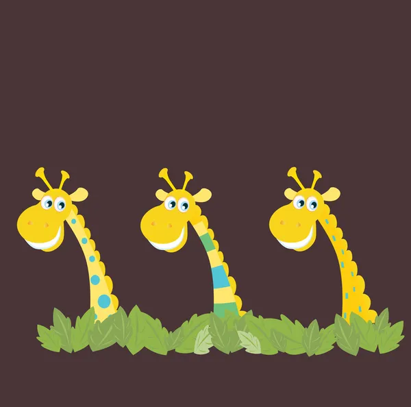 Tři africké safari žirafy — Stockový vektor
