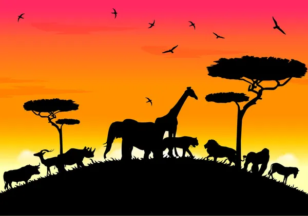 Safari Африка захід сонця на високому пагорбі — стоковий вектор