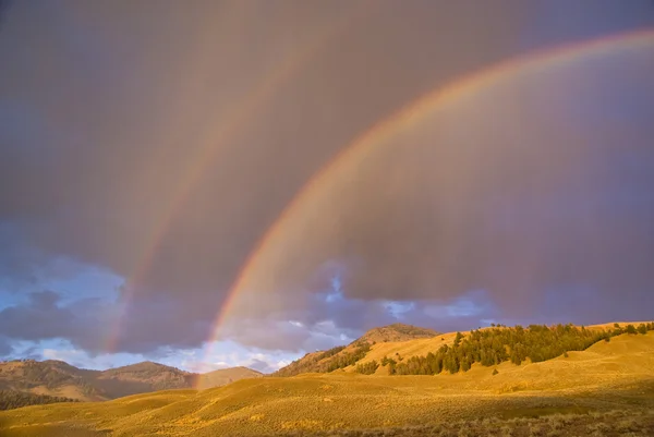 stock image Double Rainbow in Lamar Valley